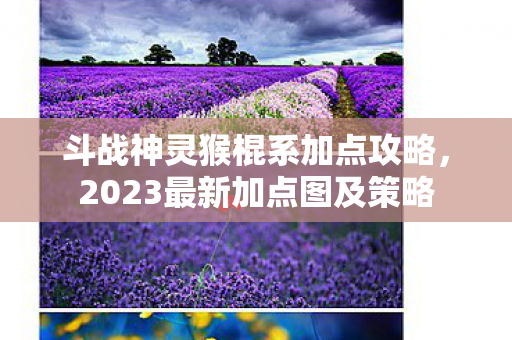 2023最新加点图及策略图片