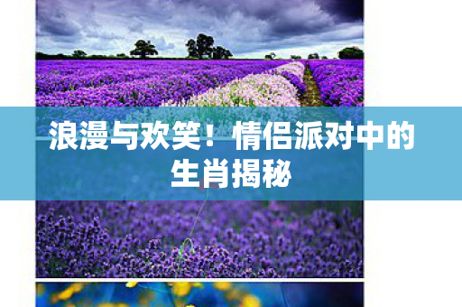 情侣派对中的生肖揭秘图片