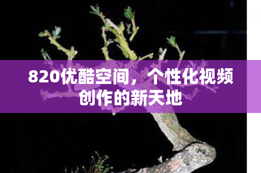 个性化视频创作的新天地图片