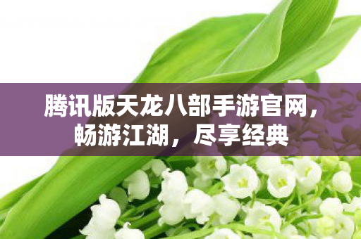 腾讯版天龙八部手游官网图片