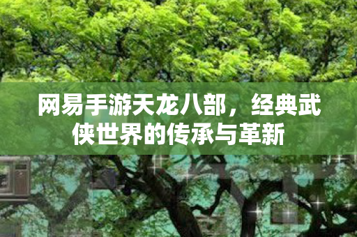 经典武侠世界的传承与革新图片