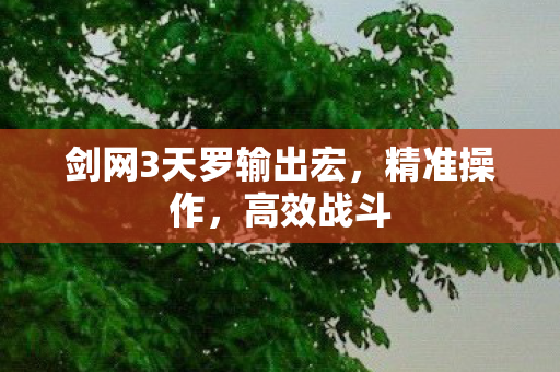 剑网3天罗输出宏图片