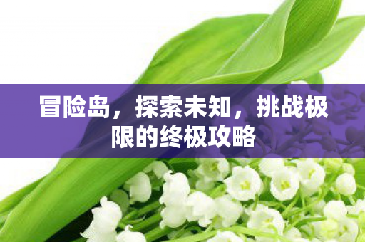 挑战极限的终极攻略图片