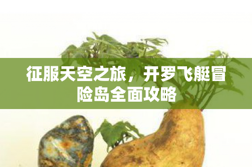 开罗飞艇冒险岛全面攻略图片