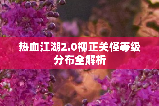 0柳正关怪等级分布全解析图片