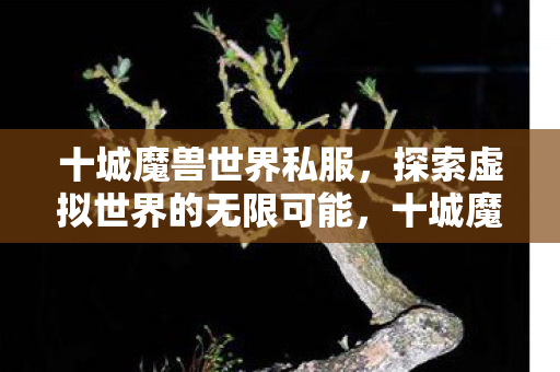 十城魔兽世界私服,探索虚拟世界的无限可能,十城魔兽世界私服,探索虚拟世界的无限可能 十城魔兽世界私服,探索虚拟世界的无限可能,十城魔兽世界私服,探索虚拟世界的无限可能