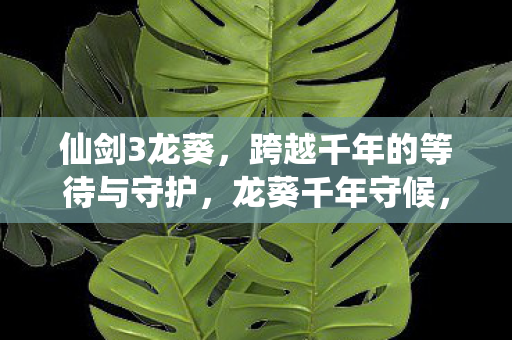 跨越千年的等待与守护图片