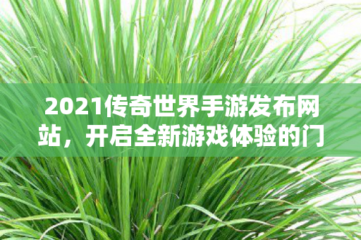 2021传奇世界手游发布网站图片