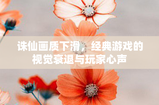 经典游戏的视觉衰退与玩家心声图片