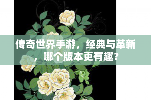 哪个版本更有趣图片
