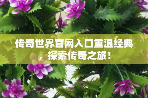 传奇世界官网入口重温经典图片