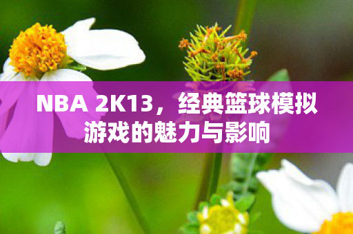 经典篮球模拟游戏的魅力与影响图片