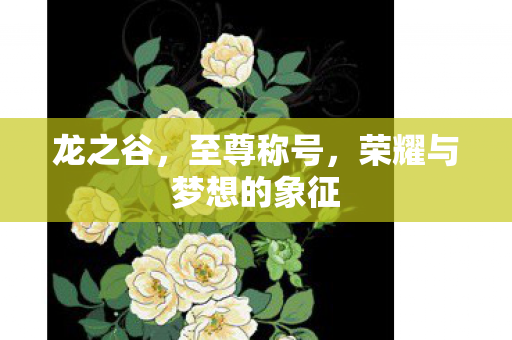 荣耀与梦想的象征图片
