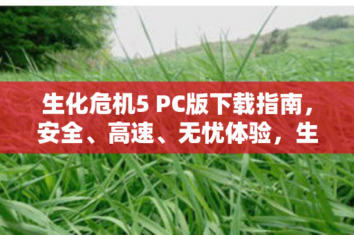 生化危机5 PC版安全高速下载指南图片