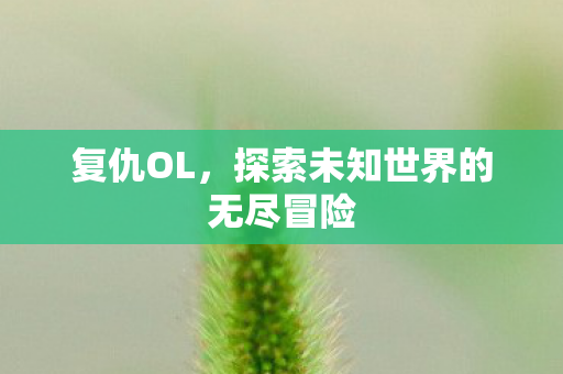 探索未知世界的无尽冒险图片