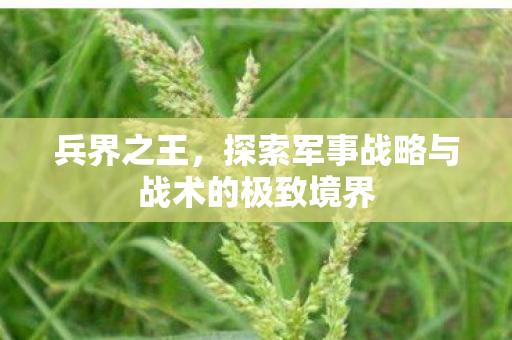 探索军事战略与战术的极致境界图片