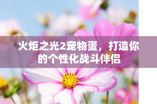 打造你的个性化战斗伴侣图片