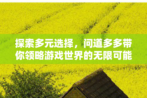 问道多多带你领略游戏世界的无限可能图片