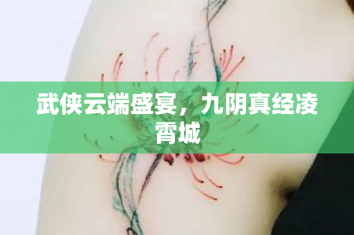 九阴真经凌霄城图片