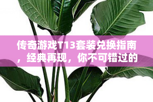 传奇游戏T13套装兑换指南图片