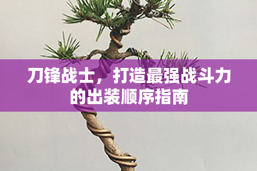 打造最强战斗力的出装顺序指南图片