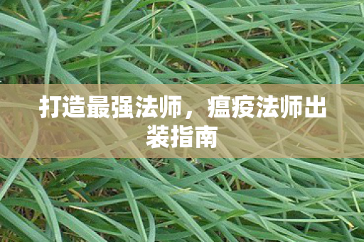 瘟疫法师出装指南图片