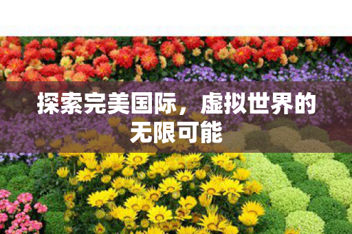 探索完美国际，虚拟世界的无限可能