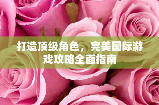 完美国际游戏攻略全面指南图片