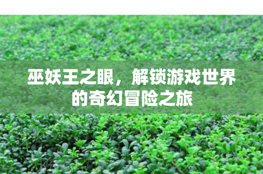 解锁游戏世界的奇幻冒险之旅图片