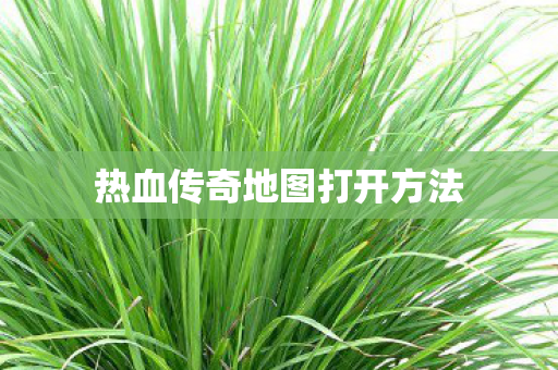 热血传奇地图打开方法图片