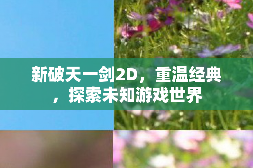 探索未知游戏世界图片