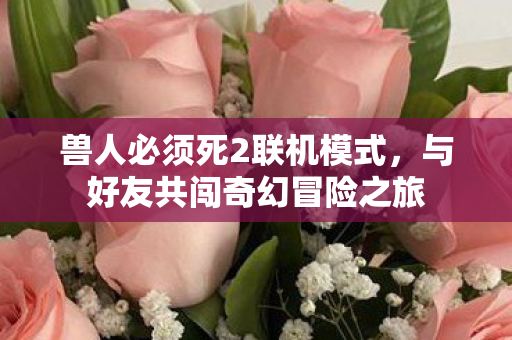 与好友共闯奇幻冒险之旅图片