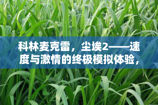 速度与激情的终极模拟体验图片