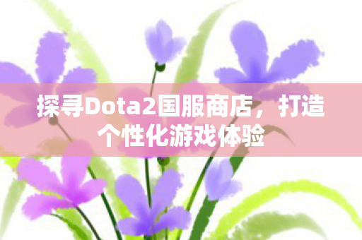 探寻Dota2国服商店图片