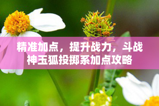 斗战神玉狐投掷系加点攻略图片