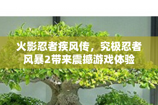 火影忍者疾风传,究极忍者风暴2带来震撼游戏体验 火影忍者疾风传,究极忍者风暴2带来震撼游戏体验