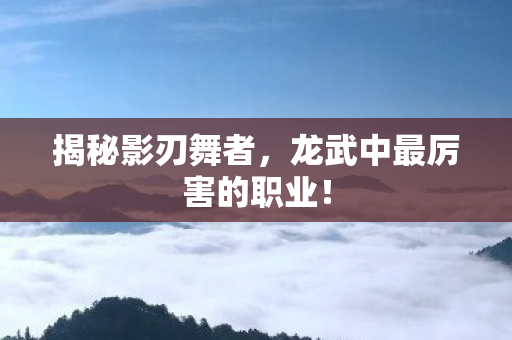 龙武中最厉害的职业图片
