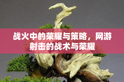 网游射击的战术与荣耀图片