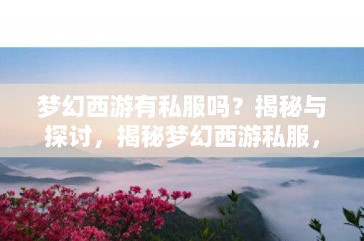 梦幻西游有私服吗图片