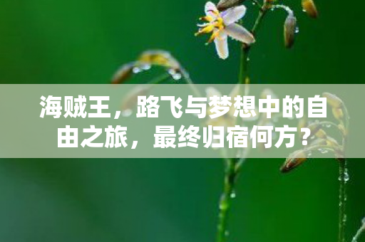 海贼王，路飞与梦想中的自由之旅，最终归宿何方？