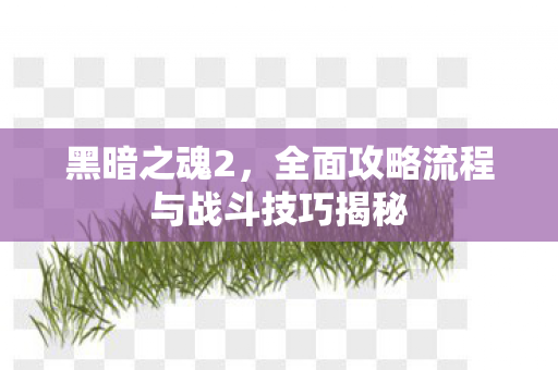 全面攻略流程与战斗技巧揭秘图片