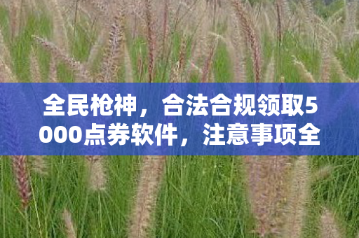 合法合规领取5000点券软件图片