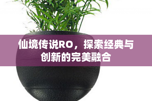 探索经典与创新的完美融合图片