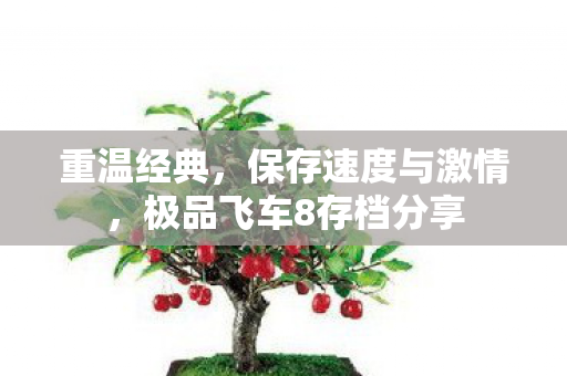 极品飞车8存档分享图片