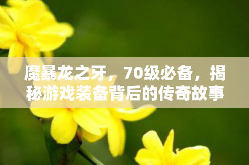 揭秘游戏装备背后的传奇故事图片