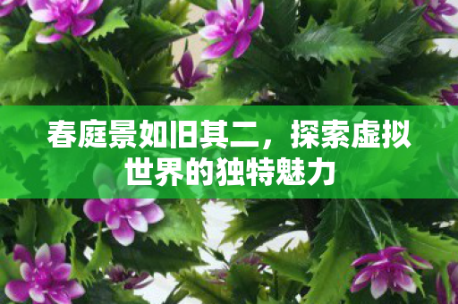 探索虚拟世界的独特魅力图片