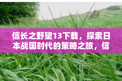 探索日本战国时代的策略之旅下载开启图片