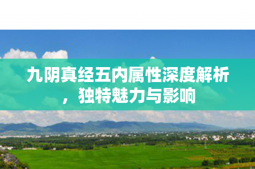 九阴真经五内属性深度解析图片