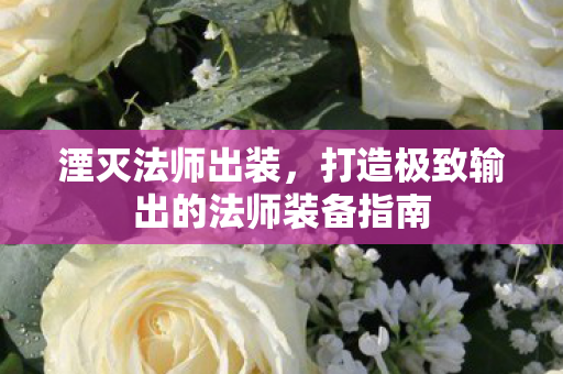 打造极致输出的法师装备指南图片