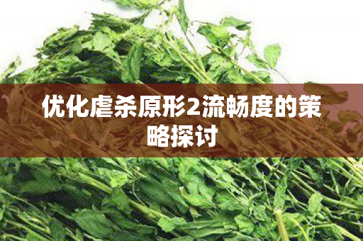 优化虐杀原形2流畅度的策略探讨图片